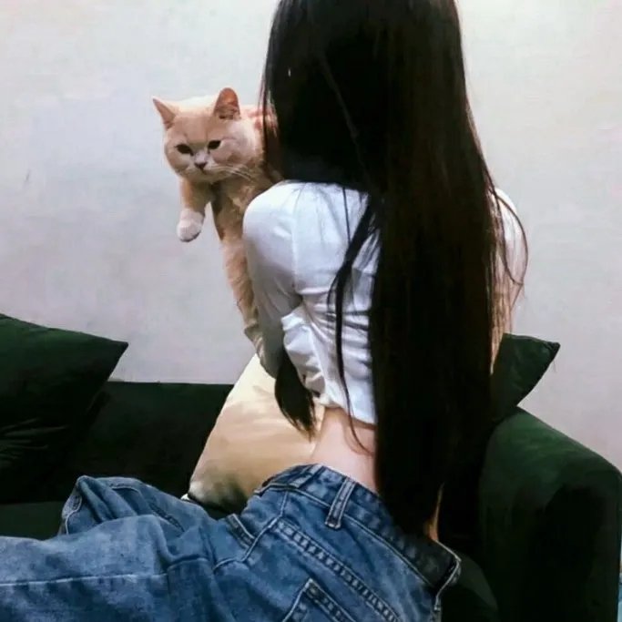 乱世狂爱