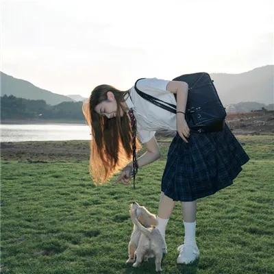仙人掌